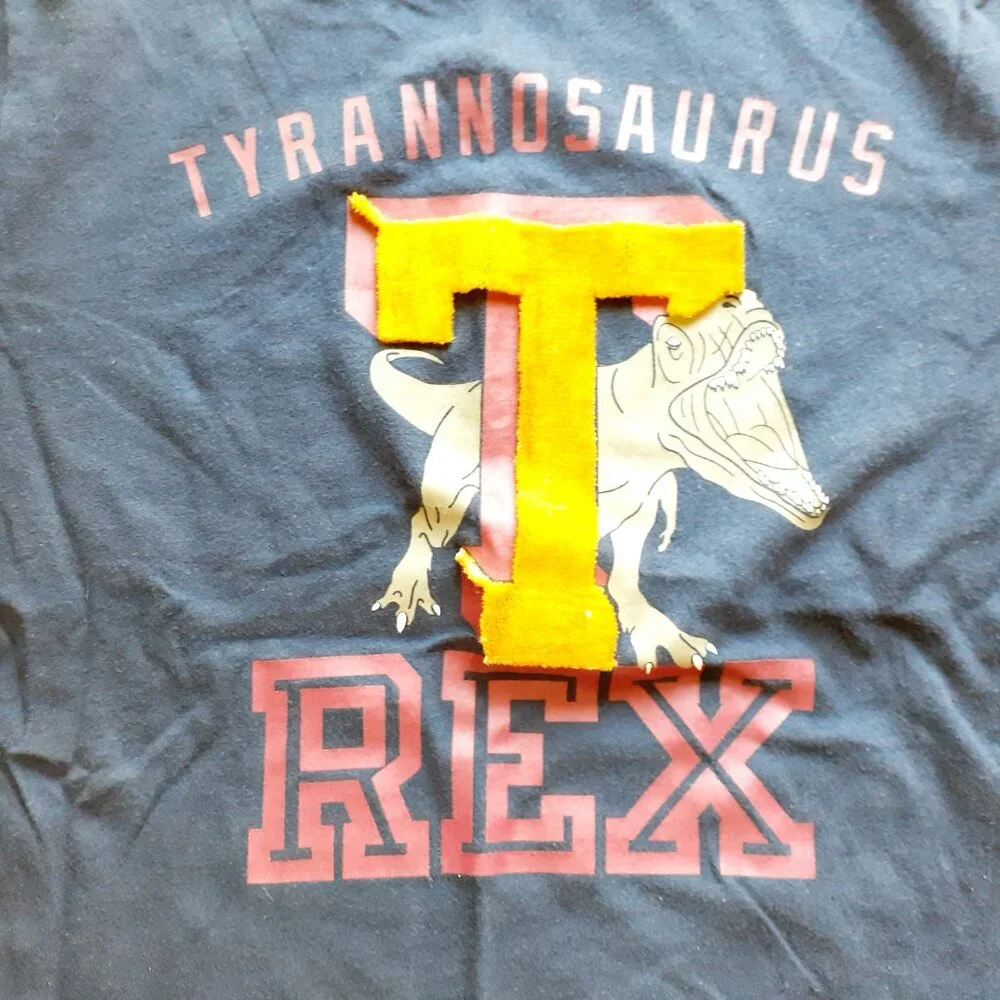 Gap Boys T-Shirt Dinosaur Navy T-Rex Short Sleeve Large 10